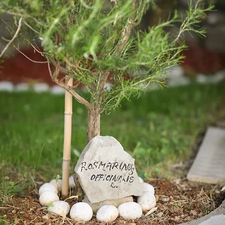 Adriatic * Veli Lošinj