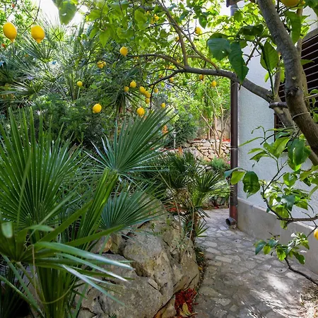 Adriatic * Veli Lošinj