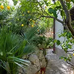 Adriatic * Veli Lošinj